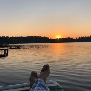 Meet your Posher, Darcy